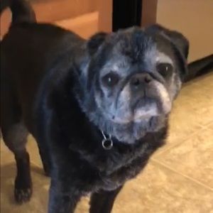 Meet your Posher, Christian